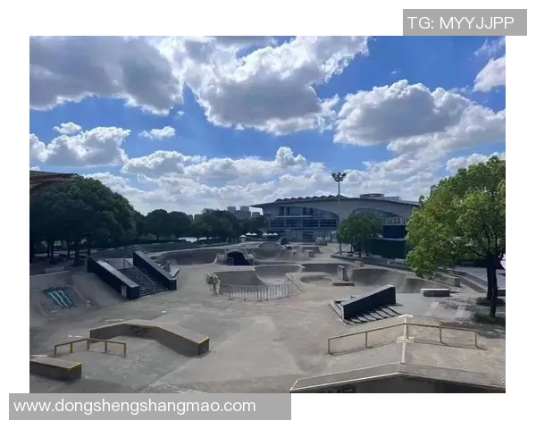 武汉极限运动队在滑板精英赛中的拼搏历程与荣耀时刻